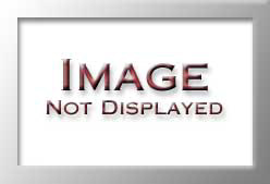 FS617330